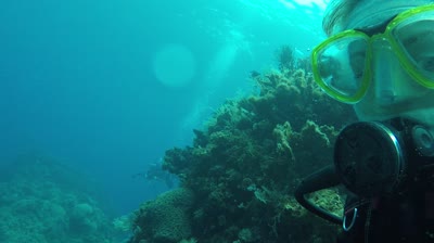 Under the sea, Siquijor, Cebu, the Philippines