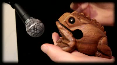 The Wooden Frog