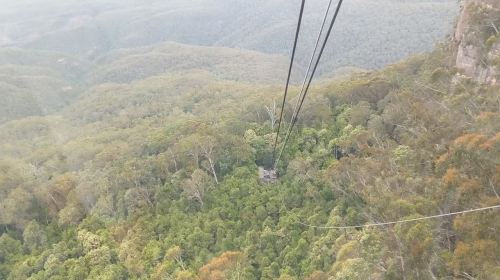 Cable Car from Scenic World