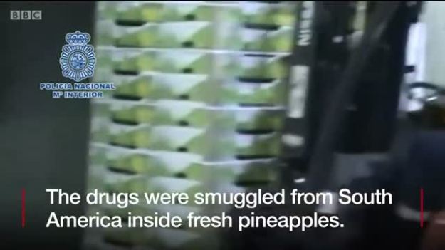 Cocaine found in fresh pineapples – BBC News ( 720 X 1280 ).mp4