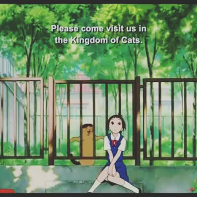 Kingdom of cats