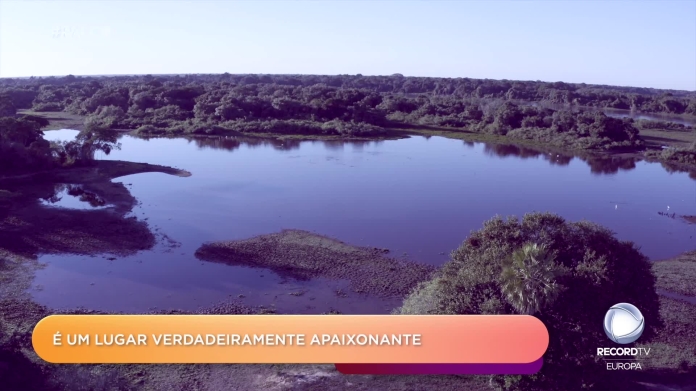O 'Road Show Pantanal'! - T5 E3