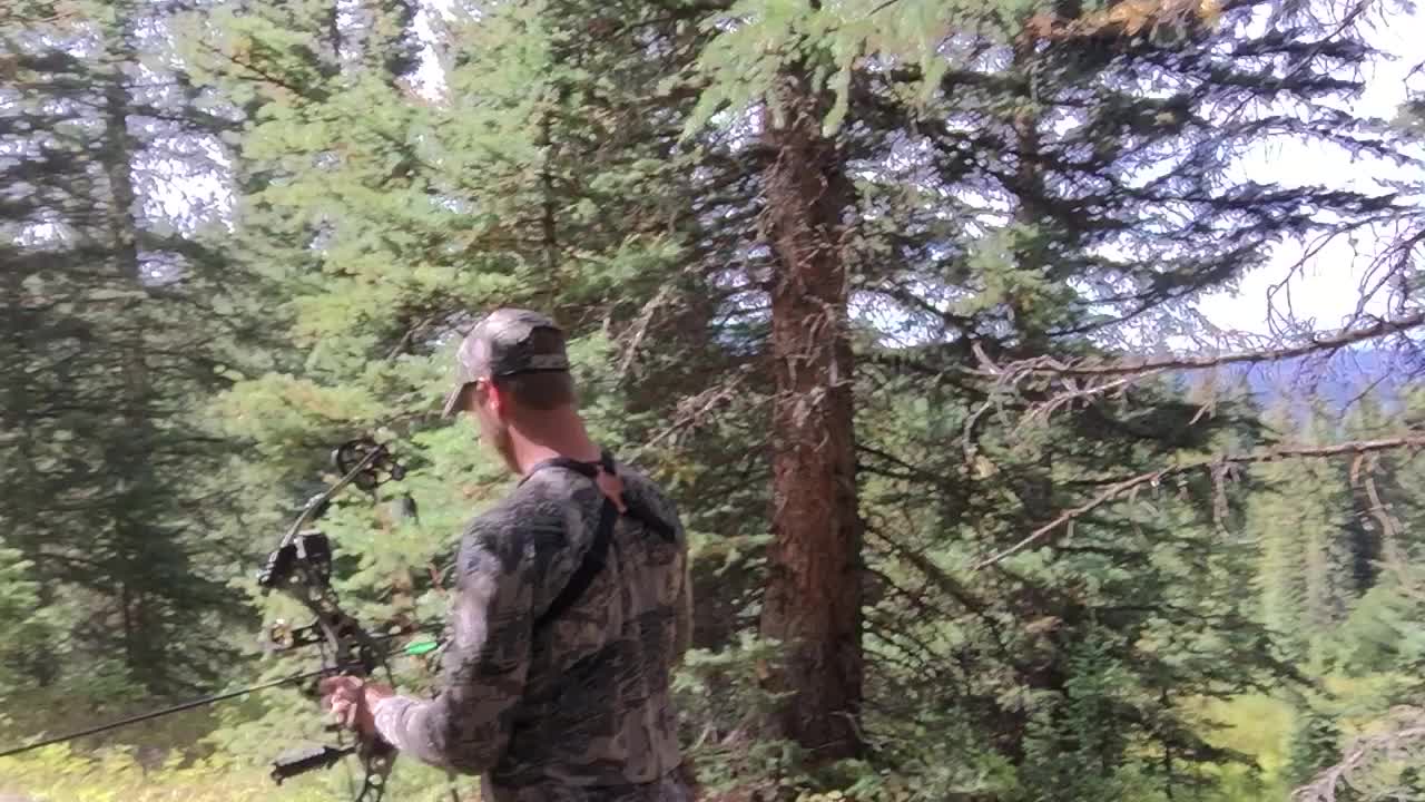 Elk Hunting Video