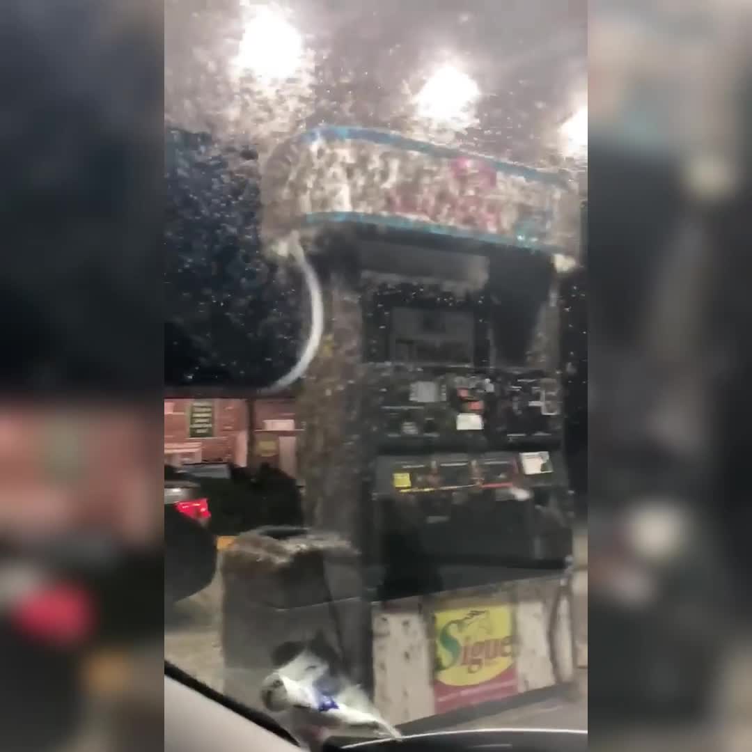 Bugs swarm gas station pumps