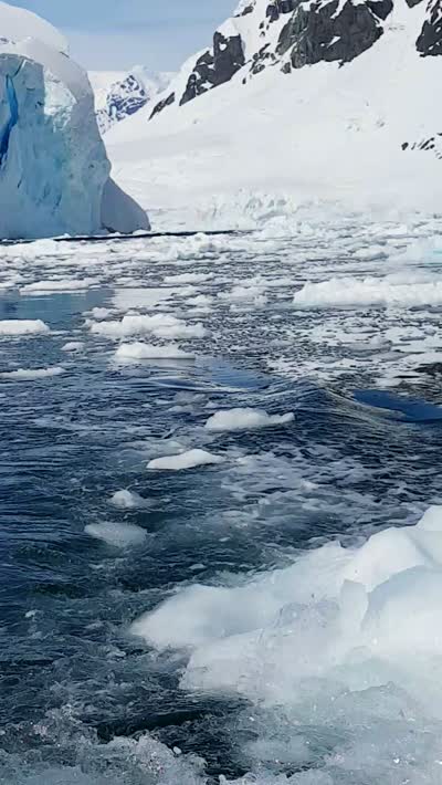 Ice calving at Lemaire Channel