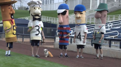 Hank the #BallparkPup's Klement's Sausage Race Debut