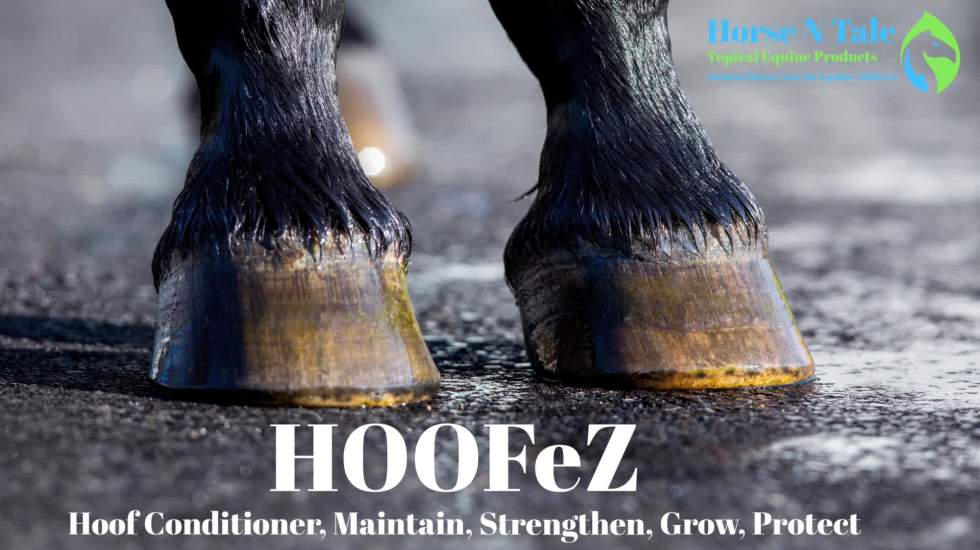 HoofEz Hoof Conditioning sprays, hooves conditioning spray