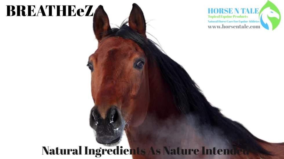 BreatheEz, BreatheEz by Horse N Tale, Respiratory support how to use