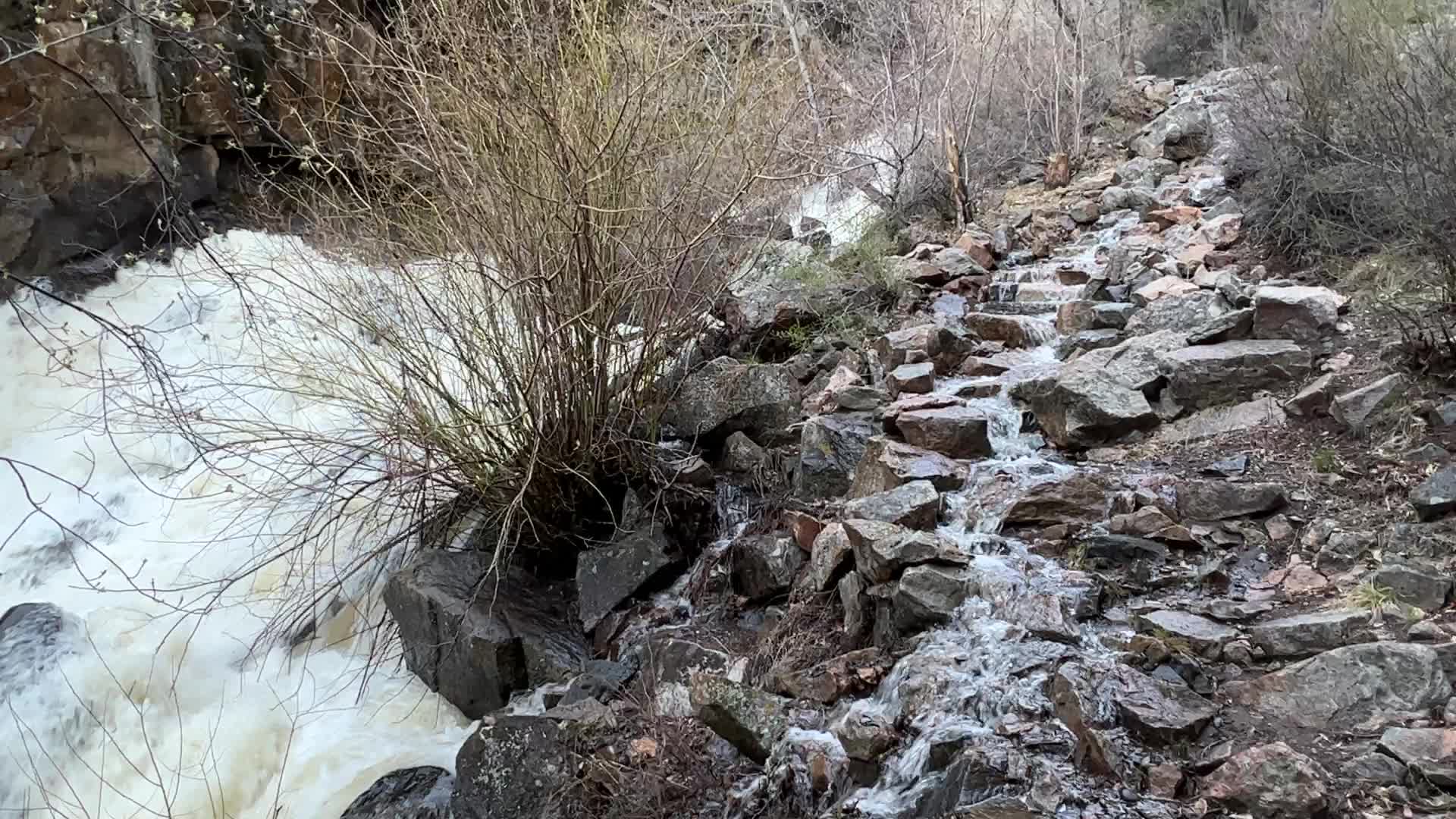 Water on the Curecanti Creek Trail